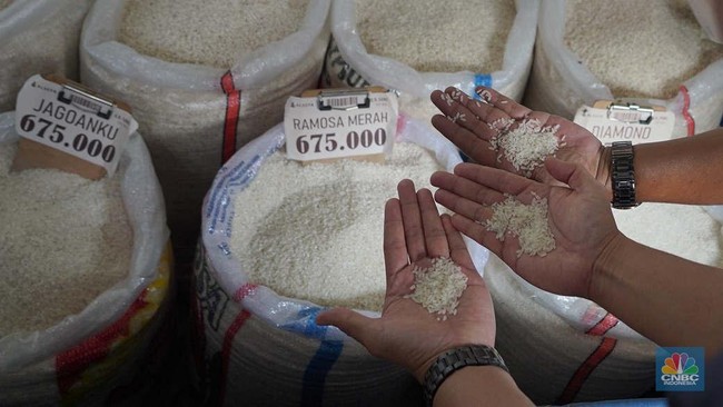 Amran Temukan Penyimpangan Beras Fortifikasi, Mendag Akan Cek Ritel