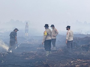 Polisi Periksa Pemilik Ratusan Hektare Lahan Gambut Terbakar di Muaro Jambi
