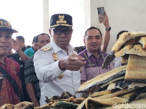 Wagub NTT Cari Data di TPI Kampung Ujung Jelang Bertemu DPR RI