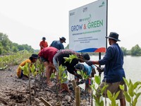 Pakai Cara Ini BRI Pertegas Komitmen Selamatkan Lingkungan