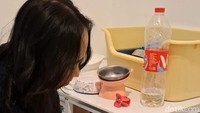 Mau Pakai Jasa Pet Sitter buat Temani Hewan Kesayangan? Segini Tarifnya