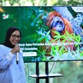 Top! Pertamina Kembangkan Pusat Rehabilitasi Orang Utan di Kaltim