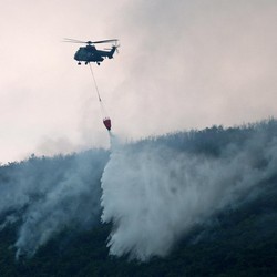 Kebakaran Hutan Dahsyat Bak Neraka Teror Albania, Tentara Dikerahkan