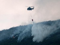 Kebakaran Hutan Dahsyat Bak Neraka Teror Albania, Tentara Dikerahkan