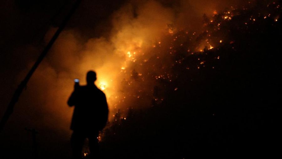 Seorang anggota layanan darurat berdiri di samping kebakaran hutan di dekat Bulqiza, Albania, Sabtu (26/7/2025). (REUTERS/Florion Goga)
