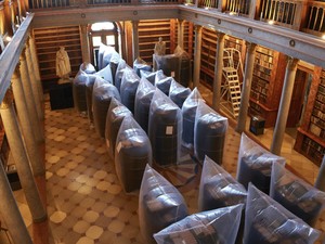 Serangga Jadi Musuh Utama Perpustakaan Tertua di Hungaria, Kenapa?