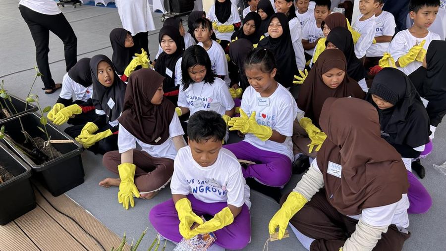 Siswa-siswi SD Mengikuti Penanaman Mangrove