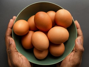 Telur Ayam Kampung, Negeri, hingga Organik: Mana yang Paling Sehat?