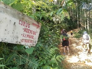 Menikmati Pesona Indah Tiga Curug Hidden Gem di Kota Bogor