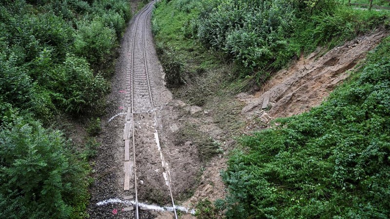 Kereta penumpang regional tergelincir di kawasan hutan dekat kota Riedlingen, negara bagian Baden-Wurttemberg, Jerman barat daya, pada Minggu, (27/7/2025). (REUTERS/Angelika Warmuth)