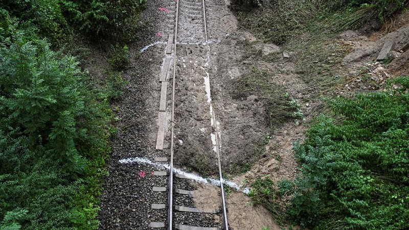 Kereta penumpang regional tergelincir di kawasan hutan dekat kota Riedlingen, negara bagian Baden-Wurttemberg, Jerman barat daya, pada Minggu, (27/7/2025). (REUTERS/Angelika Warmuth)