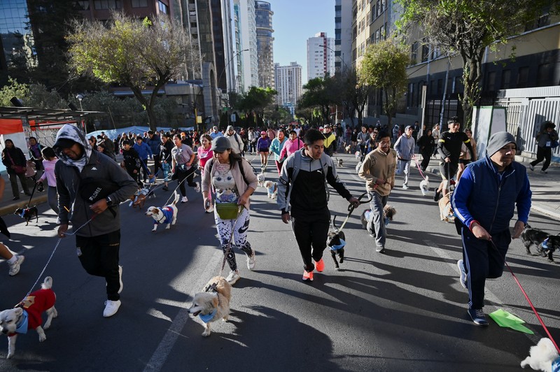 Orang-orang berlari bersama anjing mereka selama Dogathon Polisi 2025 Orang-orang berlari bersama anjing mereka selama Dogathon Polisi 2025