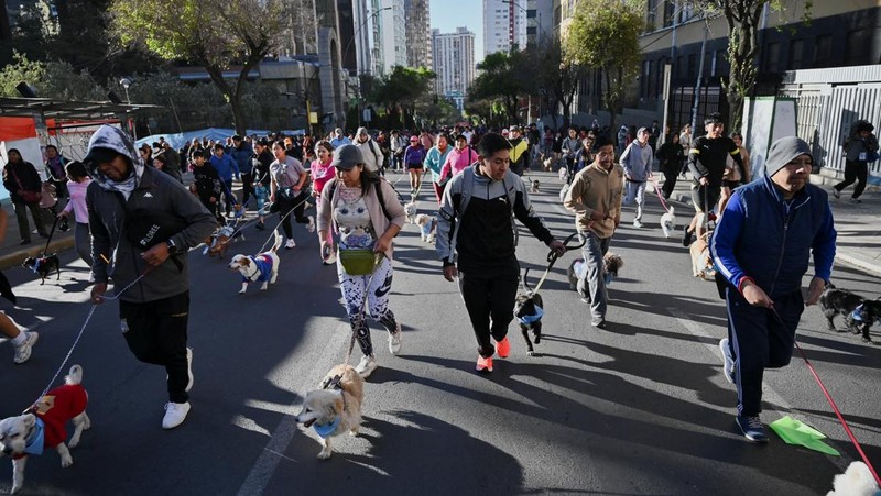 Orang-orang berlari bersama anjing mereka selama Dogathon Polisi 2025 