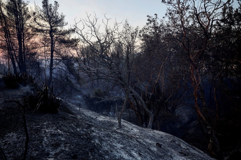 Pemandangan rumah yang hancur akibat kebakaran hutan di desa Kryoneri, dekat Athena, Yunani, 26 Juli 2025. Pemandangan rumah yang hancur akibat kebakaran hutan di desa Kryoneri, dekat Athena, Yunani, 26 Juli 2025. (REUTERS/Alkis Konstantinidis)