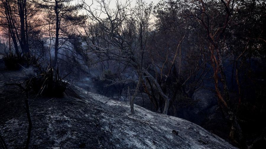 Pemandangan rumah yang hancur akibat kebakaran hutan di desa Kryoneri, dekat Athena, Yunani, 26 Juli 2025. (REUTERS/Alkis Konstantinidis)