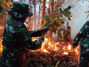 3 Hektare Lahan di Rohul Terbakar, TNI-Warga Berjibaku Padamkan Api