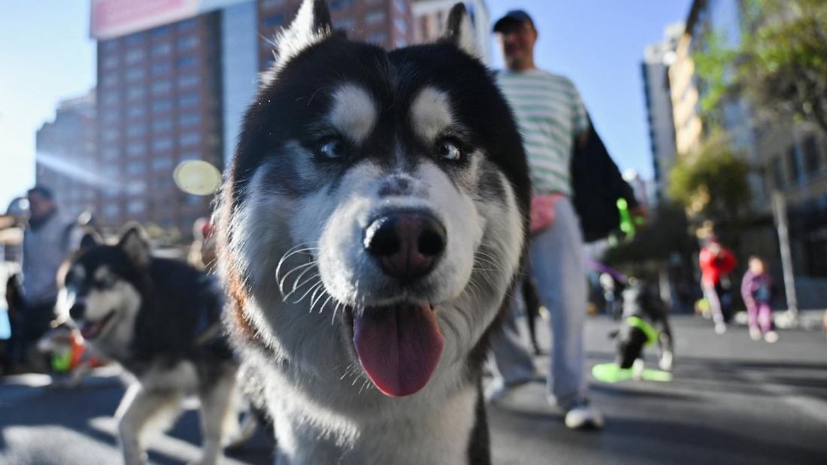 U notanish odamni uyiga taklif qilib, uni jinsiy aloqaga jalb qilgan. Onlayn tomosha qiling. Egri qizlar porno onlayn