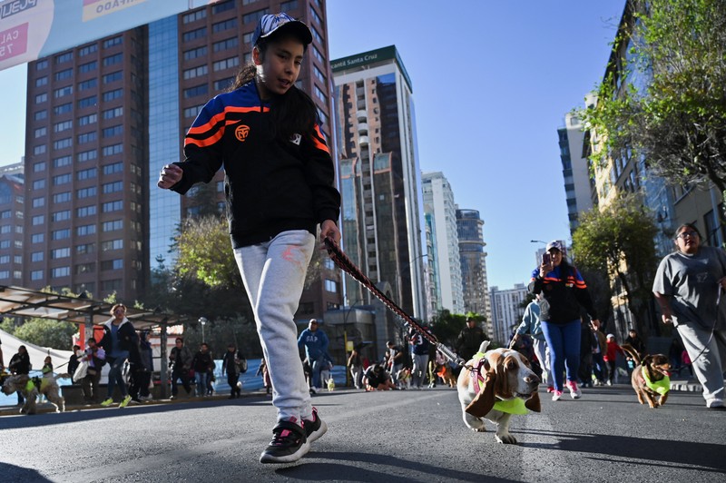 Orang-orang berlari bersama anjing mereka selama Dogathon Polisi 2025 Orang-orang berlari bersama anjing mereka selama Dogathon Polisi 2025