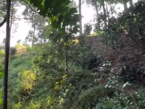 Viral Turis Bela-belain Lewat Jalan Terjal Daripada Bayar Pungli Bukit Paniisan