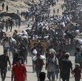 2 LSM Israel Ini Bela Palestina, Tegaskan Memang Ada Genosida di Gaza