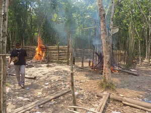 Arena Sabung Ayam di Kapuas Hulu Dibakar Polisi hingga Warga