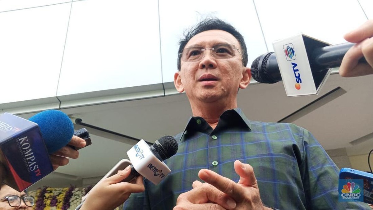 Ahok Terjun Politik: Kwik Kian Gie, Teguran Berani Megawati.