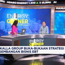 Bos Kalla Ungkap Peluang Besar Bisnis Energi Hijau di RI