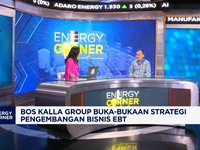 Bos Kalla Ungkap Peluang Besar Bisnis Energi Hijau di RI
