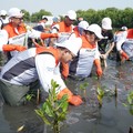 Pertamina & Siswa SD Tanam Puluhan Ribu Mangrove di Tanjung Pasir