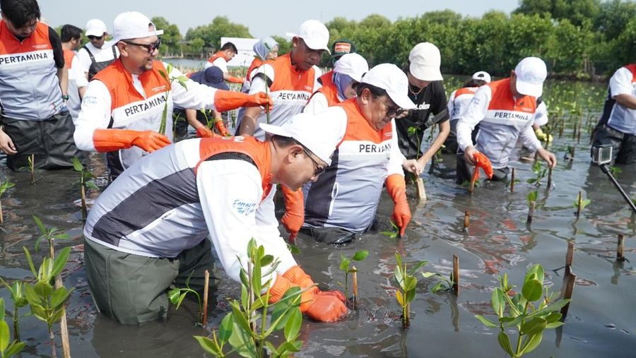 Dok Pertamina