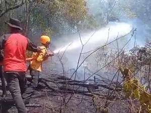BPBD Sebut Modifikasi Cuaca Efektif Padamkan Karhutla di Sumbar