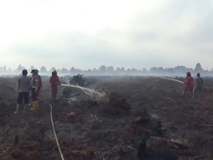 BMKG Ingatkan 70 Persen Wilayah Jambi Rawan Karhutla di Puncak Kemarau
