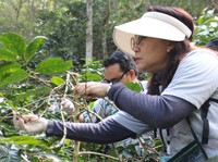 FIF Group Ajak Mengenal Desa Sejahtera Astra Penghasil Kopi di Garut
