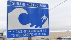 Tsunami Mengancam Pesisir China Usai Gempa Dahsyat di Rusia
