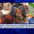 Video: Gak Cuma Harga Tinggi, Ini Rahasia Emiten Sawit Panen Cuan 2025