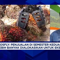 Video: Gak Cuma Harga Tinggi, Ini Rahasia Emiten Sawit Panen Cuan 2025