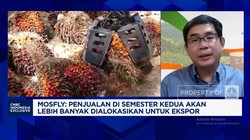 Video: Gak Cuma Harga Tinggi, Ini Rahasia Emiten Sawit Panen Cuan 2025