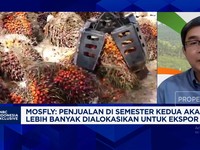 Video: Gak Cuma Harga Tinggi, Ini Rahasia Emiten Sawit Panen Cuan 2025