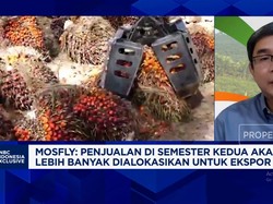 Video: Gak Cuma Harga Tinggi, Ini Rahasia Emiten Sawit Panen Cuan 2025