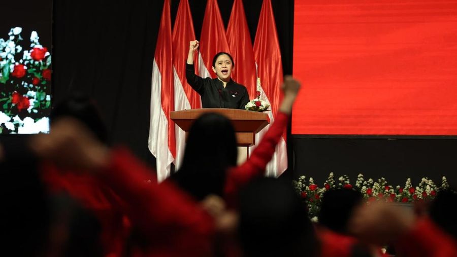 Ketua DPP PDI Perjuangan, Puan Maharani. (Dok. PDI Perjuangan)