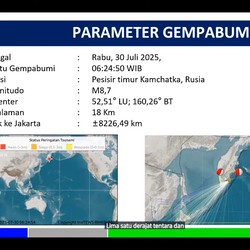 Belajar dari Tsunami Jepang 2011, BMKG-BNPB: Jauhi Pantai 2-3 Jam!