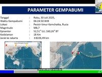 Belajar dari Tsunami Jepang 2011, BMKG-BNPB: Jauhi Pantai 2-3 Jam!