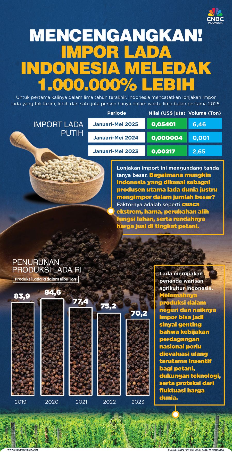 Mencengangkan! Impor Lada Indonesia Meledak 1.000.000% Lebih Mencengangkan! Impor Lada Indonesia Meledak 1.000.000% Lebih