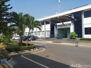 Paragon Buka Program Management Trainee untuk Fresh Graduate S1-S2, Cek Syaratnya!