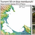 Peringatan Tsunami Hantam Wilayah RI Usai Gempa Rusia, Cek Daftarnya