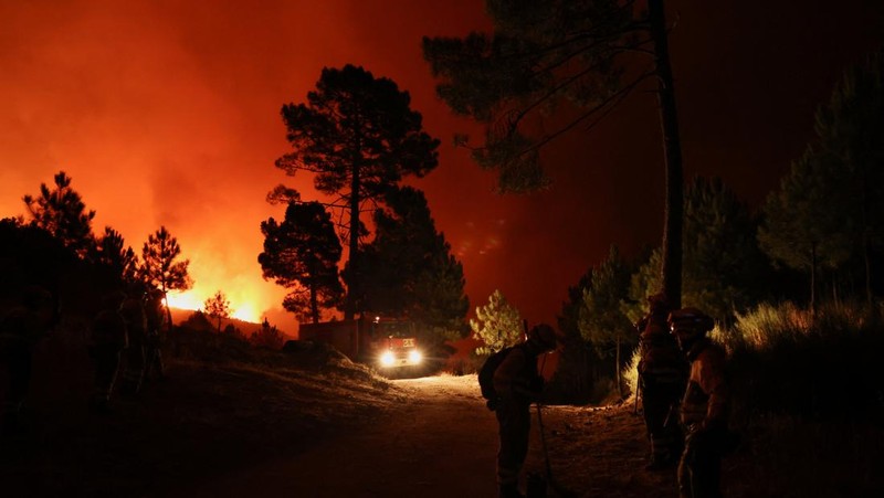 Petugas pemadam kebakaran hutan dari brigade malam Cebreros Pemerintah Castilla y Leon mengambil posisi untuk memerangi kebakaran hutan, di pinggiran El Arenal, Spanyol, 29 Juli 2025. (REUTERS/Juan Medina)