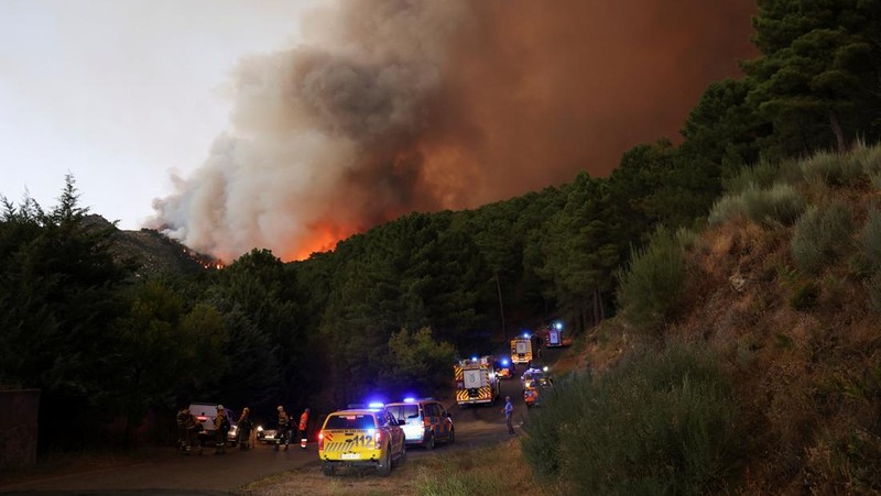 Petugas pemadam kebakaran hutan dari brigade malam Cebreros Pemerintah Castilla y Leon mengambil posisi untuk memerangi kebakaran hutan, di pinggiran El Arenal, Spanyol, 29 Juli 2025. (REUTERS/Juan Medina)