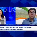Video: Teknik Pemupukan Khusus, Jurus Pengusaha Sawit Genjot Produksi