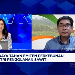 Video: Teknik Pemupukan Khusus, Jurus Pengusaha Sawit Genjot Produksi