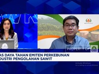 Video: Teknik Pemupukan Khusus, Jurus Pengusaha Sawit Genjot Produksi